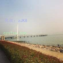 ˫